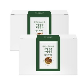 농진청 기능성 당뇨 볶은 도담 쌀 차 티백차 고압로스팅 곡물차 저항전분, 2g, 2개, 20개입