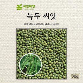 다농 녹두 씨앗 30g, 1개