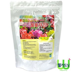 [조이가든] 구근 웰플라워 - 1kg, 1개