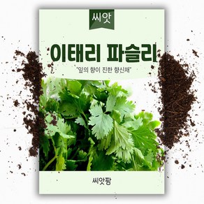 이탈리안 파슬리 씨앗(200립)