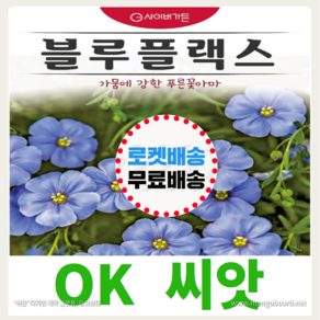 [OK씨앗] [블루플랙스] 아마꽃씨앗 종자(오케이씨앗), 1개