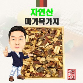 자연산 마가목가지 300g (경북 영천) 야생 국내산 국산, 1개