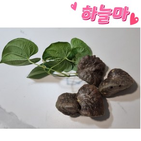 국내산 하늘마 열매마 넝쿨마 1kg 3kg 열매마 하늘마모종 마 열매마하늘마 하늘마열매 열매마하늘마5키로 하늘마열매마분말 하늘마박스 하늘마가루