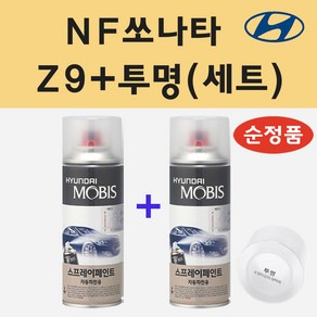 순정품 현대 NF쏘나타 Z9 크리스탈실버 스프레이 페인트 + 투명스프레이, 1개