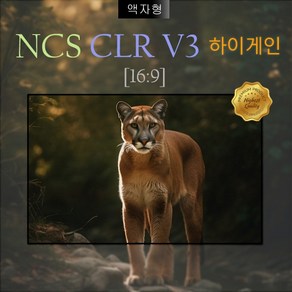 [NCS] 엔씨에스 (DCS) PREIMUM CLR V3 하이게인 광학 액자형 120인치 스크린