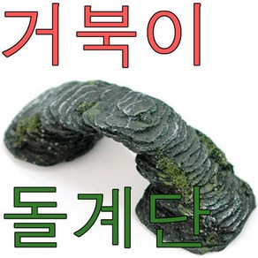 거북이 쉼터 돌다리 중 거북이 일광욕 장식 계단, 1개