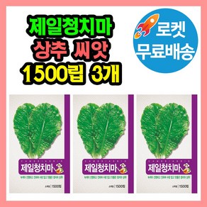 제일 청치마 상추 씨앗 (합 4500립) 채소 쌈 종자, 3개