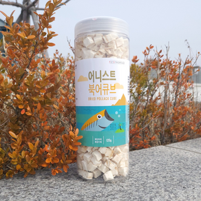 어니스트 동결건조 큐브120g(통)북어 고양이 강아지 건조 간식, 북어, 1개