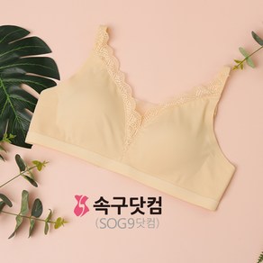 Anosfit by 속구닷컴 심리스 2단후크 유방암환자브래지어 퓨징브라 실리콘인조유방용 서지브라 수술 후 관리용 써지 속옷