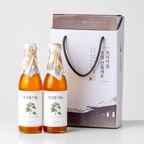 전라도청년 저온압착 청년들기름 350ml+청년들기름 350ml 명절선물세트, 2개, 350ml