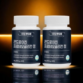 프로테오글리칸 콘드로이친 프리테오글리칸 콘도로이친 600mg