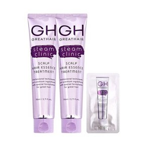 그레이트헤어 GH 스팀 클리닉 스칼프 헤어에센스 트리트먼트 이찬석 110ml 2개+샘플, 그레이트헤어 트리트먼트 110ml 2개+샘플, 2개