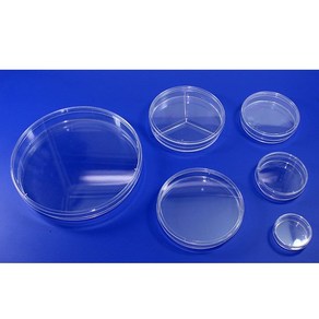 과학실험키트-샬레(페트리디쉬) 소형 50mmX15mm(10개)