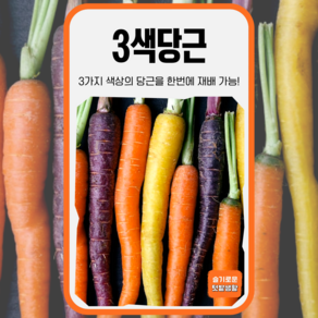 3색당근 500립 KS종묘 당근씨앗 주말 농장용 채소 당근 씨, 1개