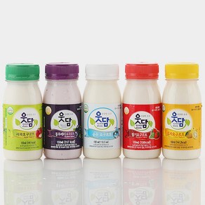 [웃담] 수제 요구르트 요거트 5종 (플레인 유자 딸기 사과 블루베리) 1800ml, 1개, 딸기 1800ml, 1.8L