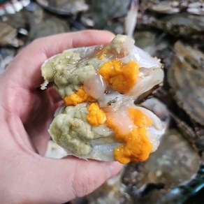 [당일발송] 알배기 100% 프리미엄 연평 활 암꽃게, 2개, 1kg (4-6미 내외)