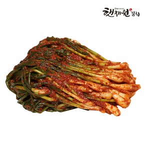 매일 담가 보내는 쪽파 김치 국산 전라도 파김치 2KG, 1박스