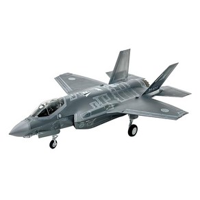 TAMIYA 타미야 61124 1/48 걸작기 시리즈 No.124 록히드 마틴 F-35A 라이트닝II, 1개