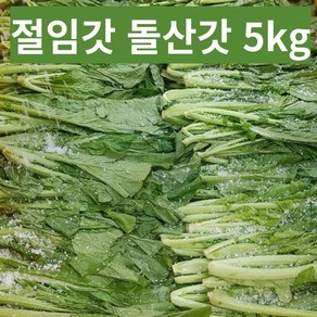 여수 돌산 절임갓 5kg 10kg 식당용 가정용 갓김치 대량주문가능, 1개