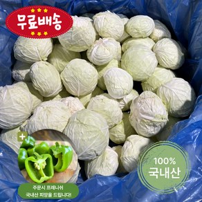 프레니쉬 달고 아삭한 국내산 양배추(1인양배추/6kg/9kg내외 1BOX)