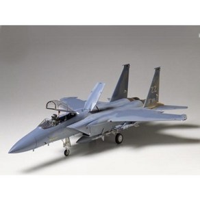 타미야 프라모델비행기 [60304] 1/32 McDonnell-Douglas F-15C Eagle, 1개