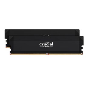 [마이크론] Cucial DDR5 PC5-51200 CL38 PRO Oveclocking 대원씨티에스 [32GB (16GB*2)] (6400), 2개