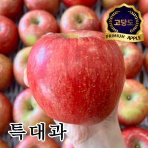 [베스트팜] 청송 얼음골 사과 산지직송(전국 당일출고) 특대과, 1개, 2kg(4~7과)