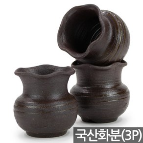 세인화분 국산 고리 다육이 다육 화분 3P, 3개, 고리화분(S88)