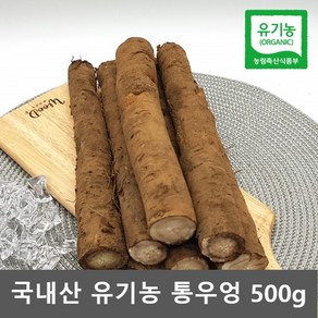 유기농 우엉 국산 우엉 뿌리 생우엉 통우엉 국내산 우엉 500g, 1개