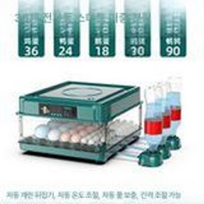 병아리부화기 달걀 부화기 오리 닭 키우기 인큐베이터, 36개, 1개