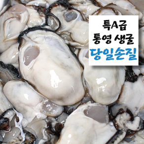 [통통한굴] 통영 생굴 완벽세척 깐굴, 2kg, 1개