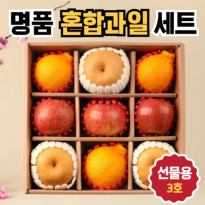 [명절선물] 사과 배 샤인머스켓 망고 혼합 세트 과일 선물세트 설명절 추석, 05. 명품 혼합 과일 선물세트 3호
