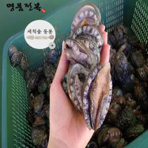 해신수산 완도활전복 25-30미 1kg, 1개