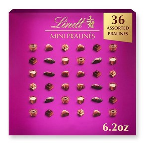 Lindt 린트 미니 프랄린 어쏘티드 초콜릿 176g, 1개