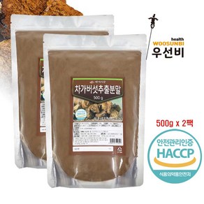 백세식품 차가버섯 추출분말 가루, 2개, 500g