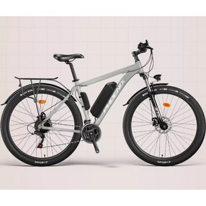 피닉스 M5 29인치 전기 자전거 EBIKE 자토바이 전동 남녀