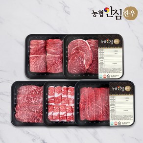 [농협안심한우] 1등급 한우 소 한마리 구이세트 1kg (꽃등심등심채끝차돌박이실속구이), 1개