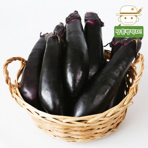 싱싱한 보라빛 국내산 가지 2kg/3kg/5kg, 2kg, 1개