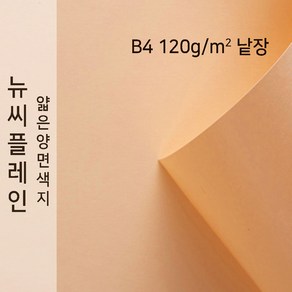 뉴씨플레인 종이문화 얇은 양면색지 120g B4 낱장 1매 No.21 살구색, 1장