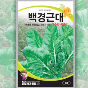 백경근대 씨앗 (8g) 웰빙 채소 씨앗 종자 1개