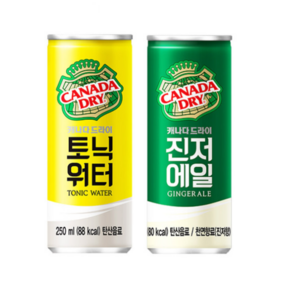 캐나다드라이 + 진저에일 토닉워터 250ml x 20개