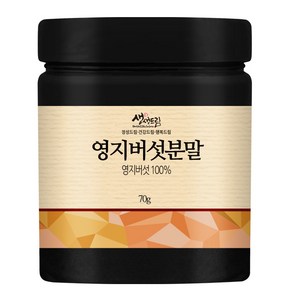 영지버섯 분말 가루 70g