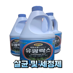 살균 소독제 세정제 유광 락스 2L, 2kg, 6개