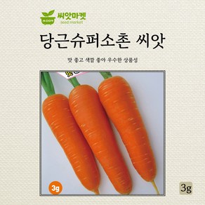 아시아종묘 슈퍼소촌 당근 씨앗 3g, 1개