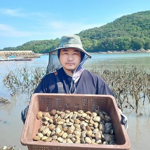 당일채취 청정해역 통영 자연산 해감 생물 활 바지락 왕바지락 2kg 3kg 4kg 5kg, 1박스, 자연산 생물 활 바지락 2kg