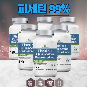 헬시파트너 고순도 피세틴+퀘르세틴 레스베라트롤 1200mg 120캡슐 무관세