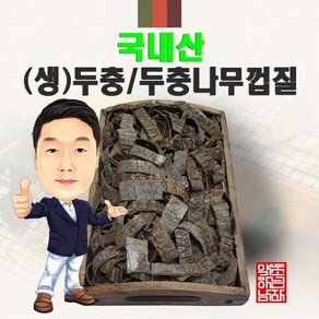 국내산 (생)두충 300g (경북 영천) 국산 두충나무껍질