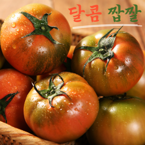 [100박스한정]초초특가 꿀bix선별 달콤짭짤 못난이 대저 토마토, 1개, 2.5kg