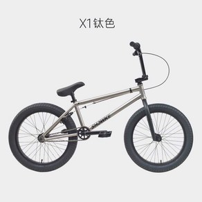 자전거 BMX 비엠엑스 입문용 선데이 크로몰리 고급형 스포츠 SHOWKE20, A. 그레이