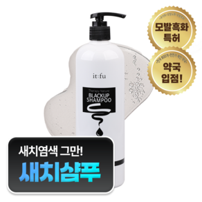 잇퓨 테라피 블랙업 샴푸 새치케어 흰머리방지 만다린향, 1개, 480ml